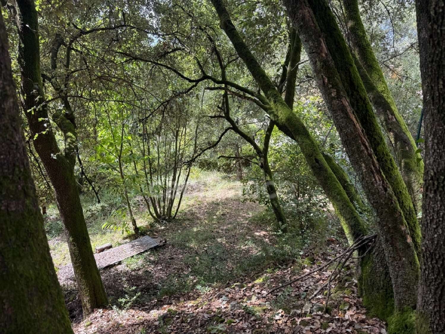  for sale terrain Cendras Gard 2