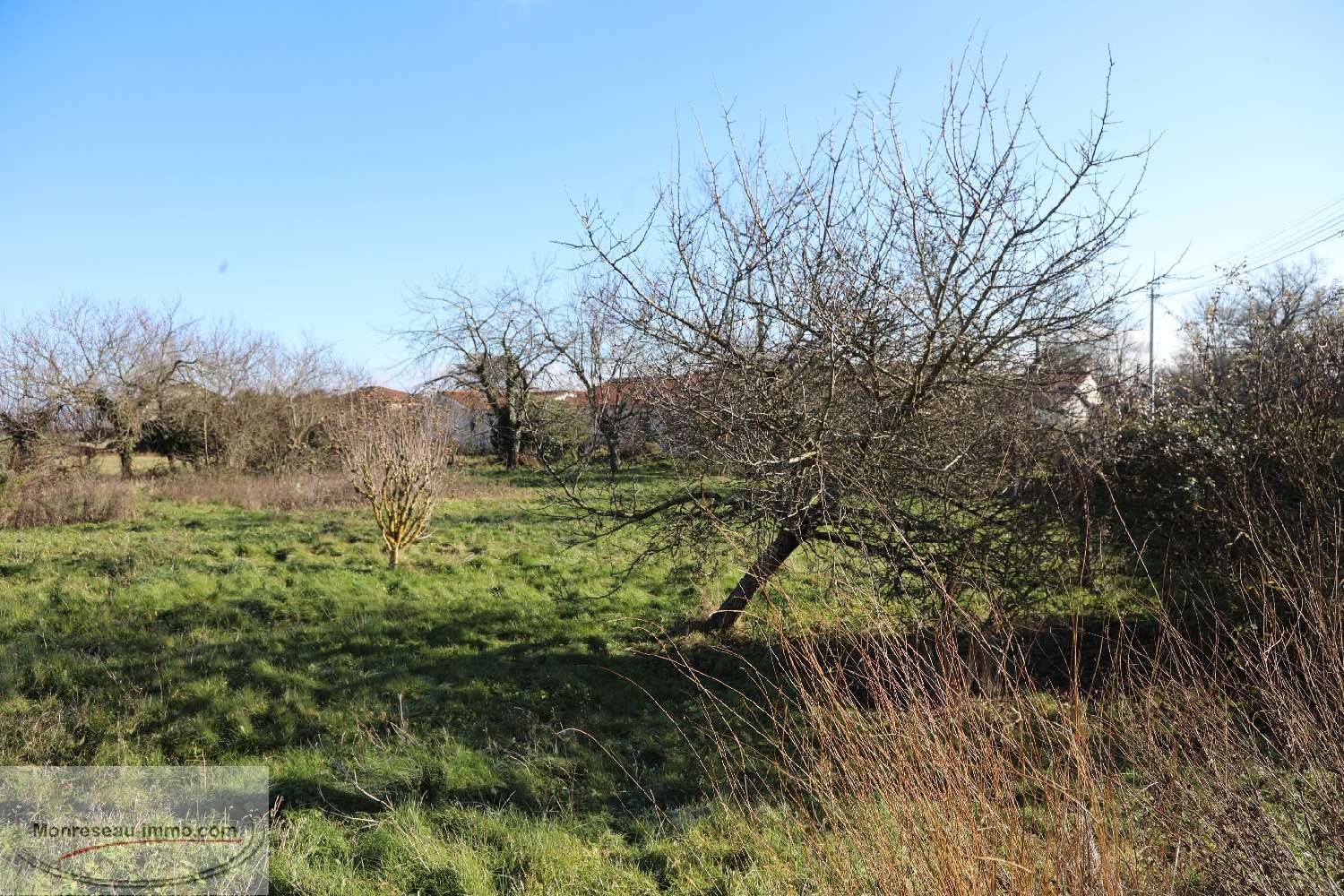 kaufen Grundstück Charnay-lès-Mâcon Saône-et-Loire 3