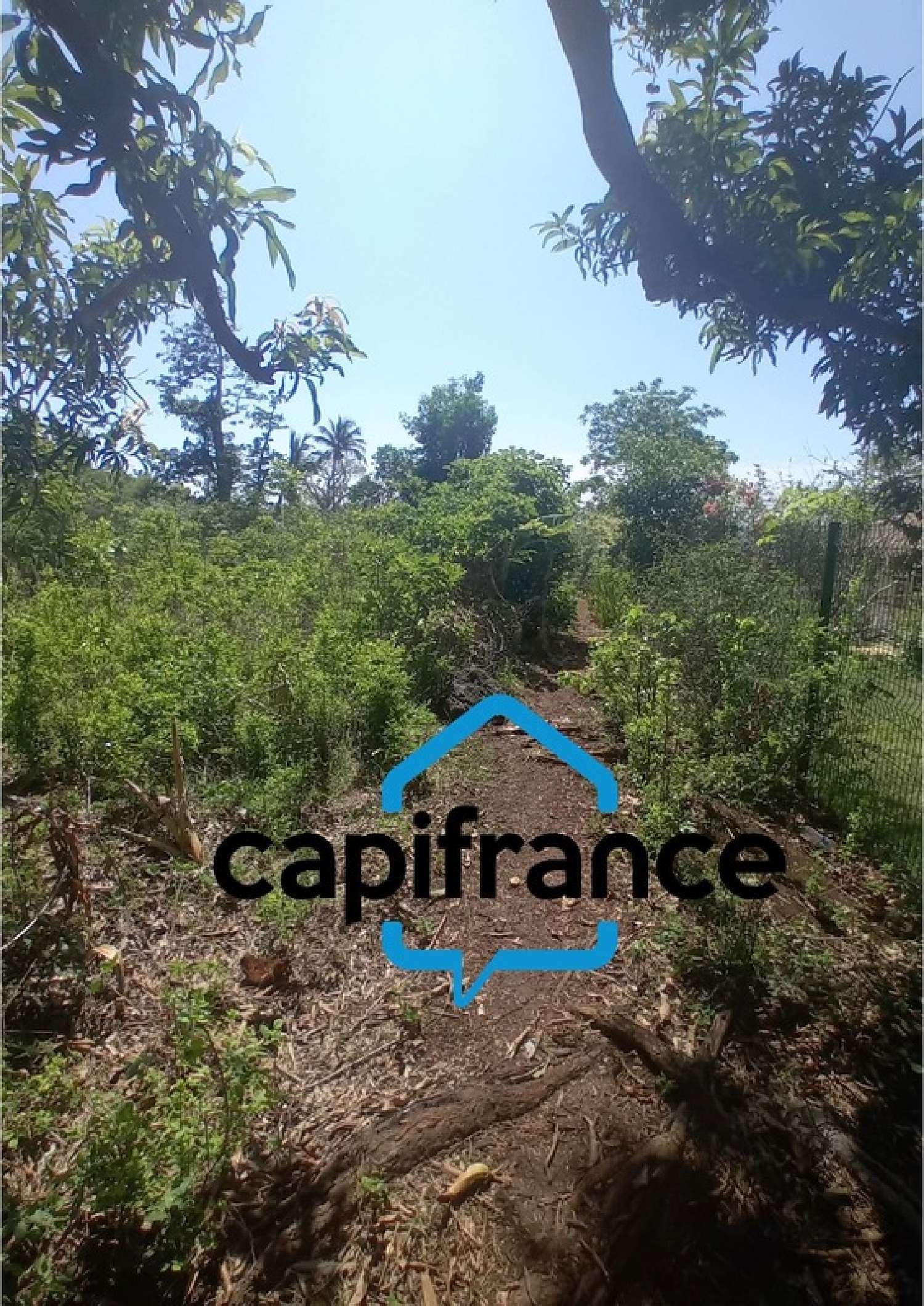  te koop terrein Chirongui Mayotte 3