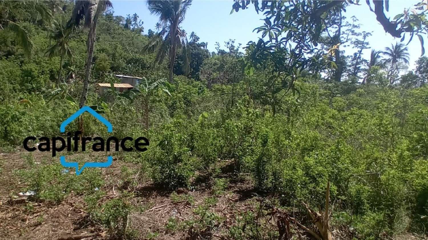  te koop terrein Chirongui Mayotte 4