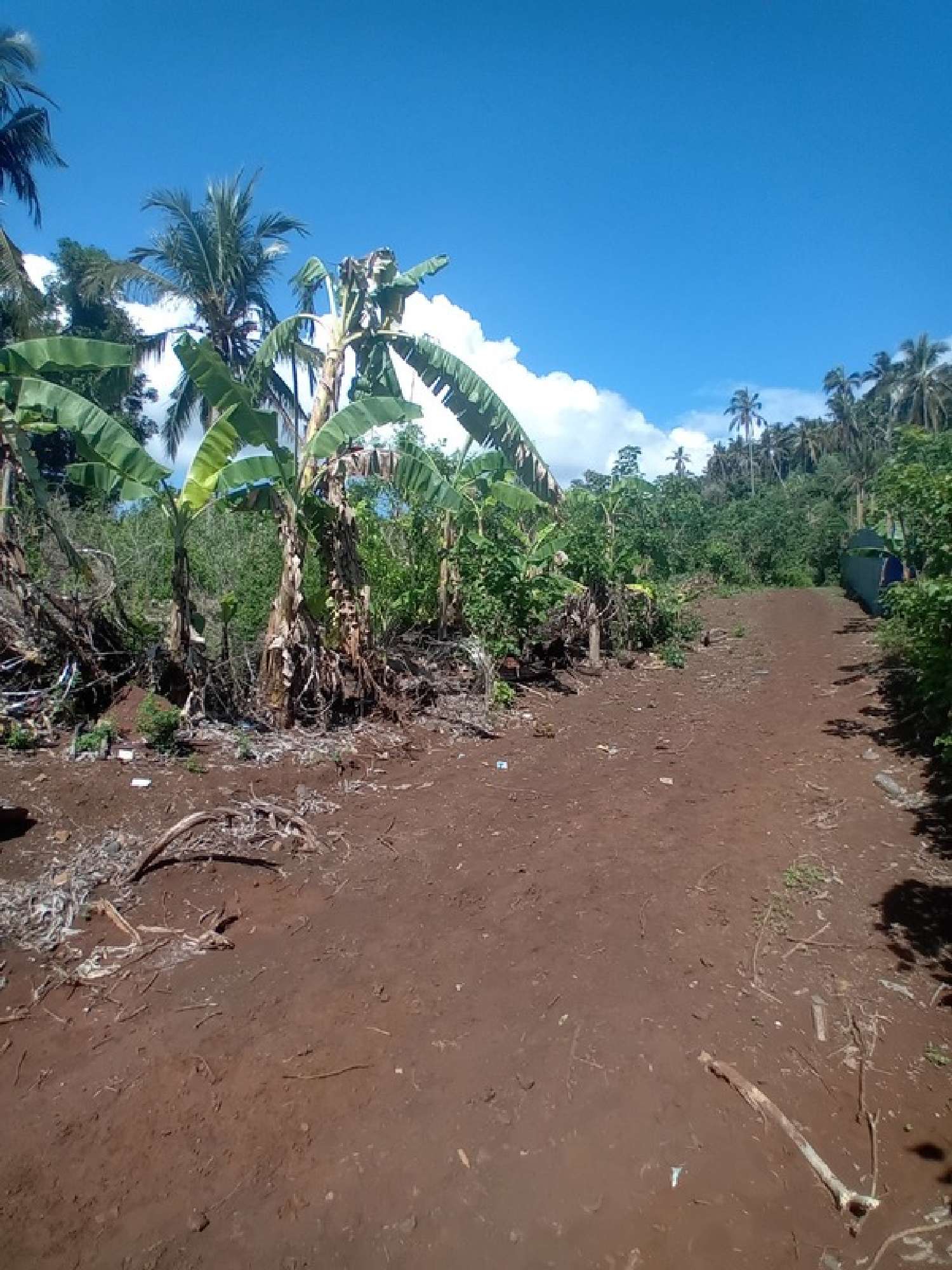  te koop terrein Chirongui Mayotte 6