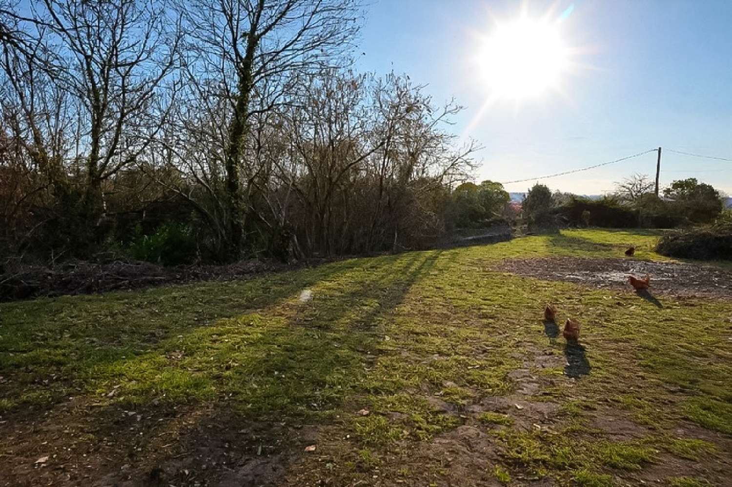 kaufen Grundstück Clairac Lot-et-Garonne 1