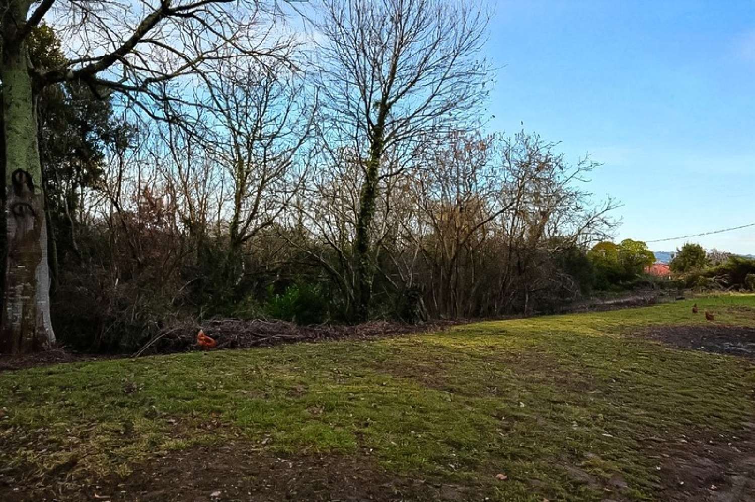  kaufen Grundstück Clairac Lot-et-Garonne 3