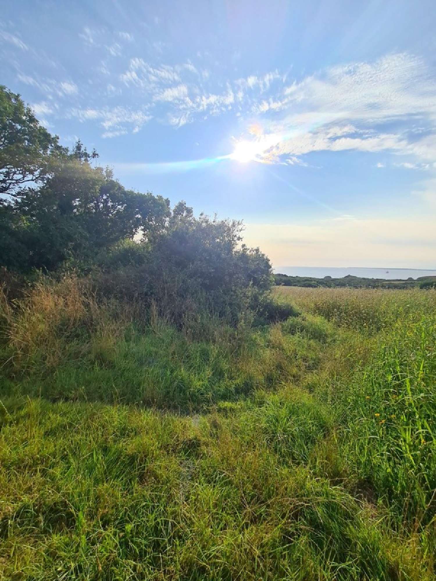  for sale terrain Crozon Finistère 1
