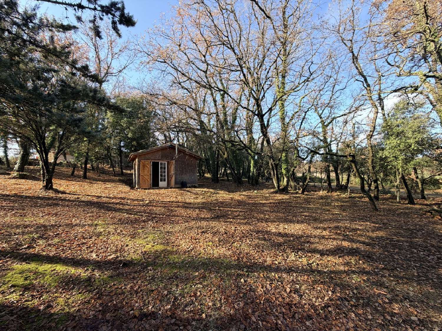  for sale terrain Cruviers-Lascours Gard 1