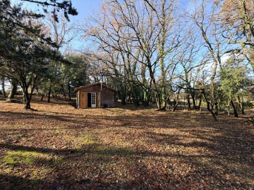 Cruviers-Lascours Gard terrain foto 7244538