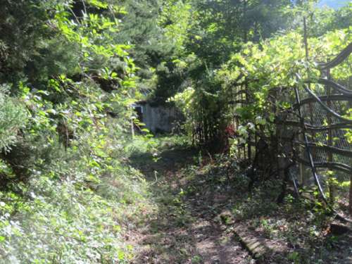 Digne-Les-Bains Alpes-de-Haute-Provence terrein foto 7242406