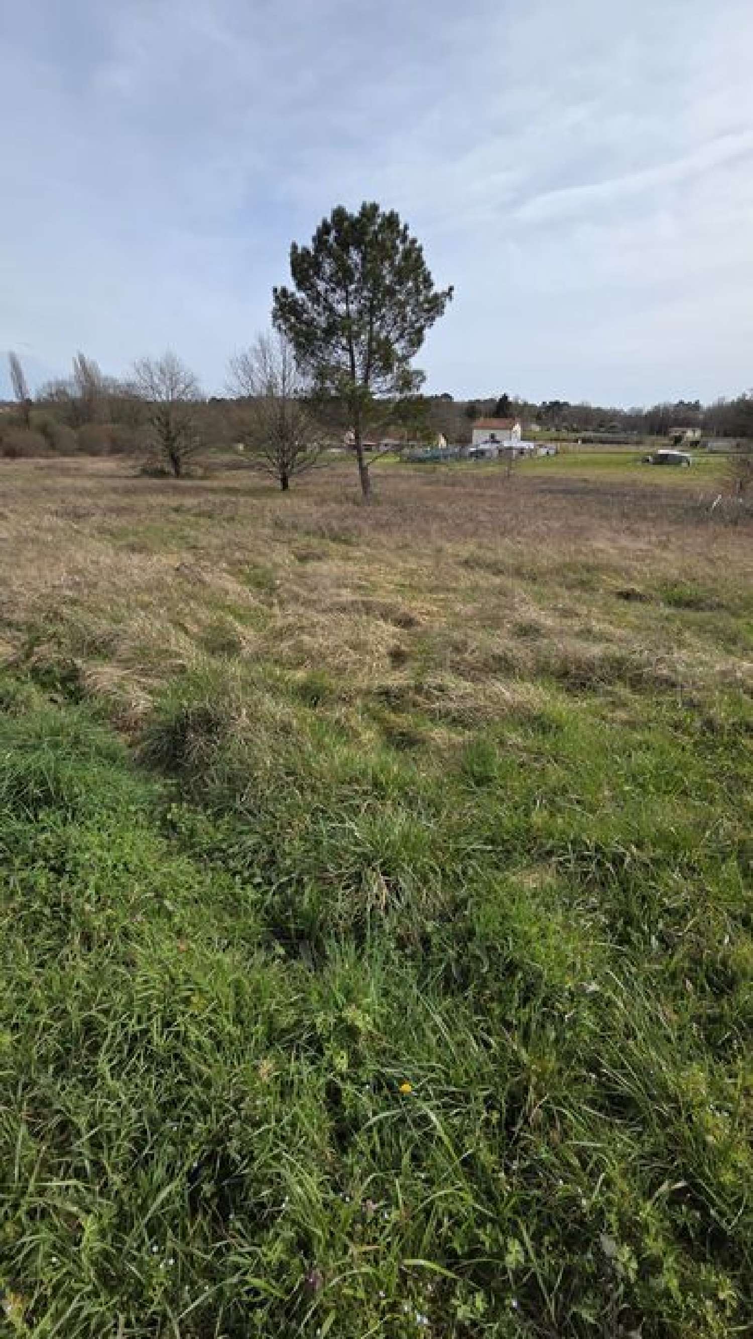  kaufen Grundstück Échourgnac Dordogne 1