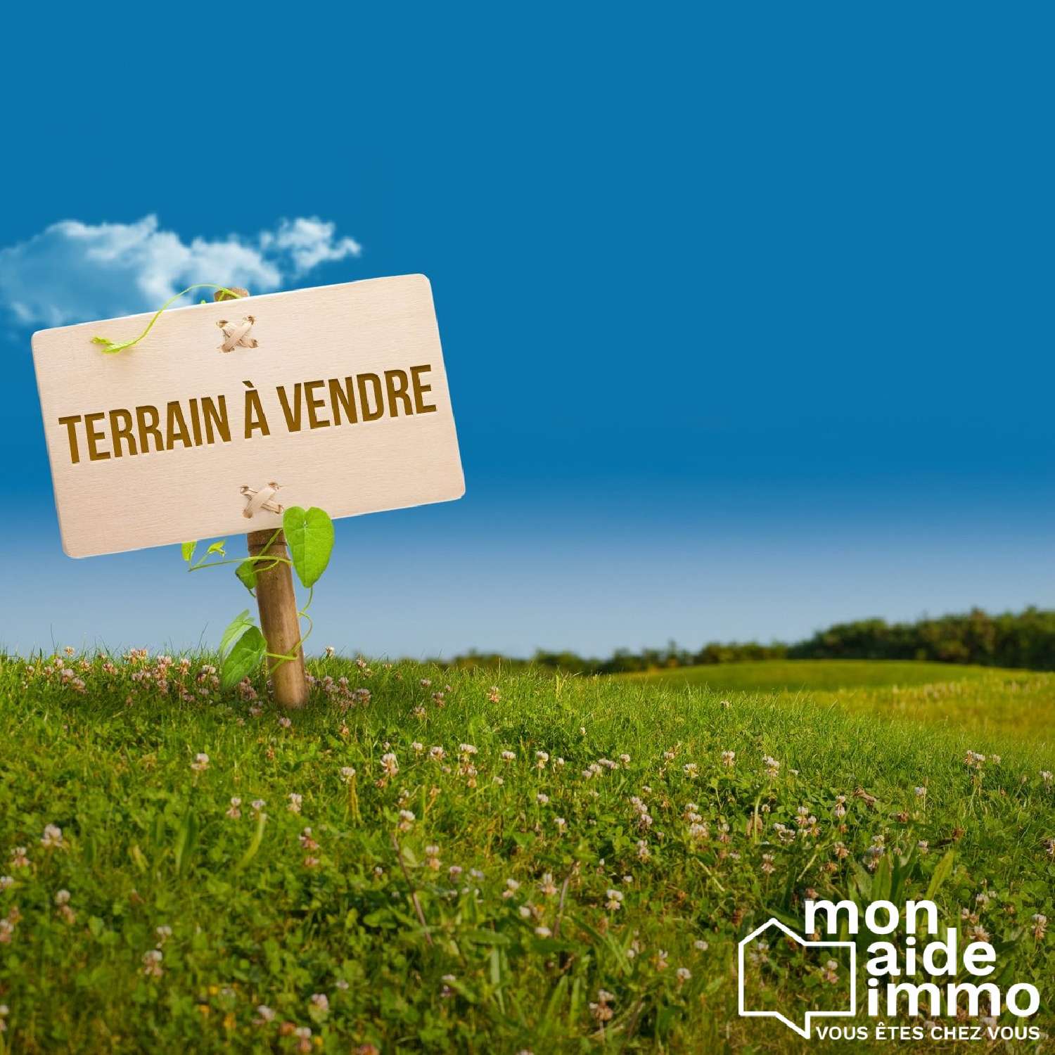  en venta terreno Frontenac Gironde 1