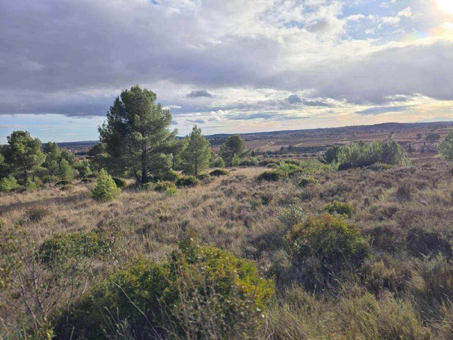  for sale terrain Gabian Hérault 2