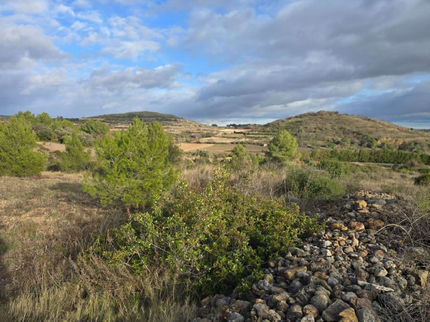  for sale terrain Gabian Hérault 7