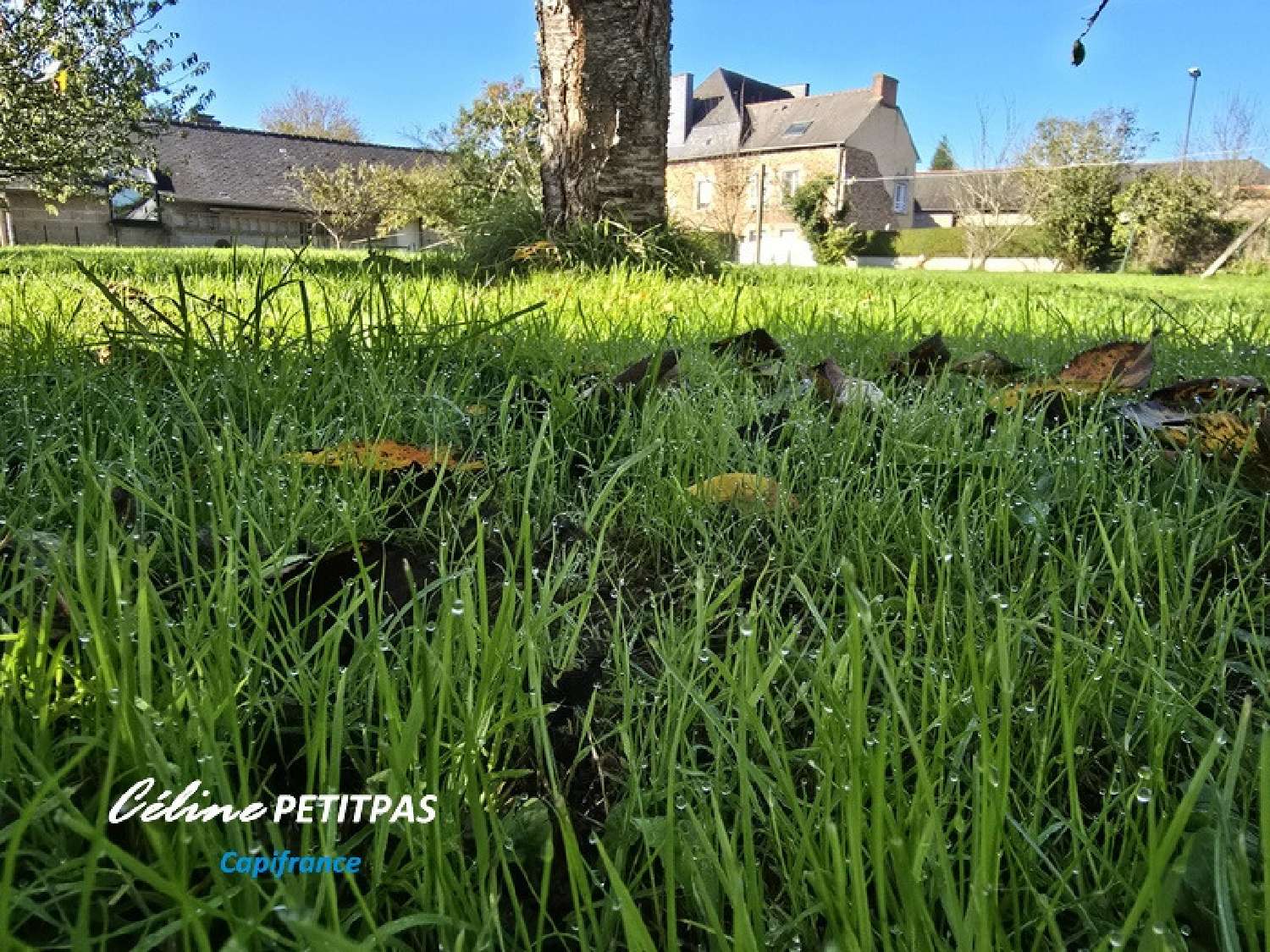  te koop terrein Gaël Ille-et-Vilaine 5