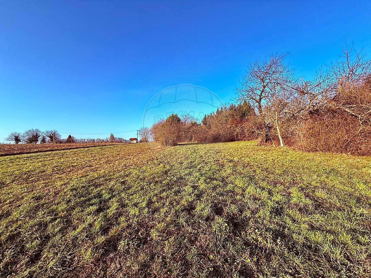  kaufen Grundstück Geispitzen Haut-Rhin 3