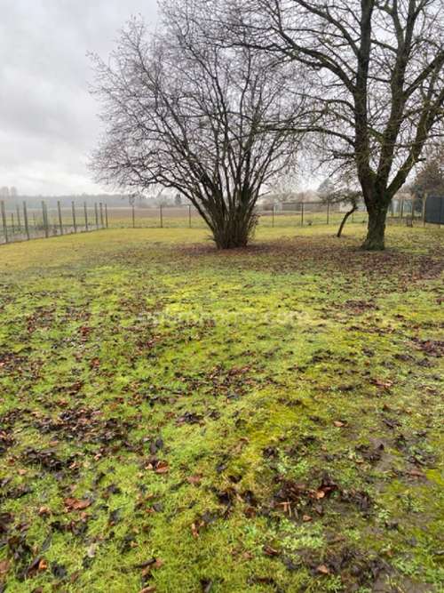 Gizy Aisne terrain foto 7243898