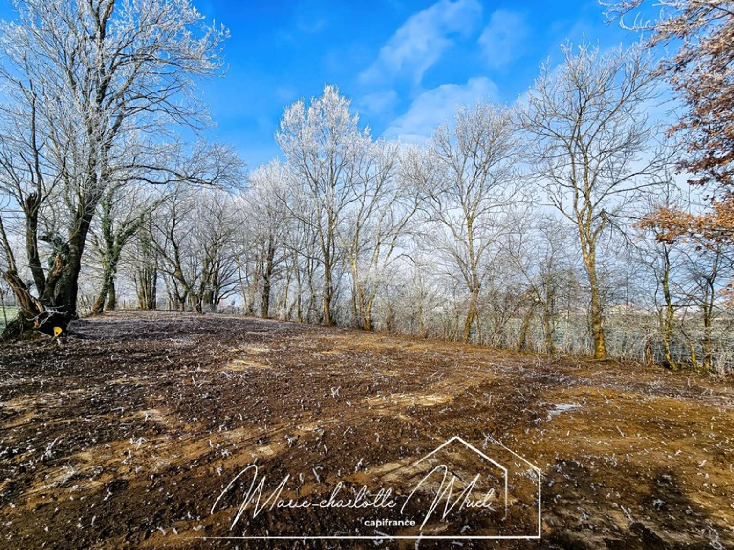  te koop terrein Gorrevod Ain 3