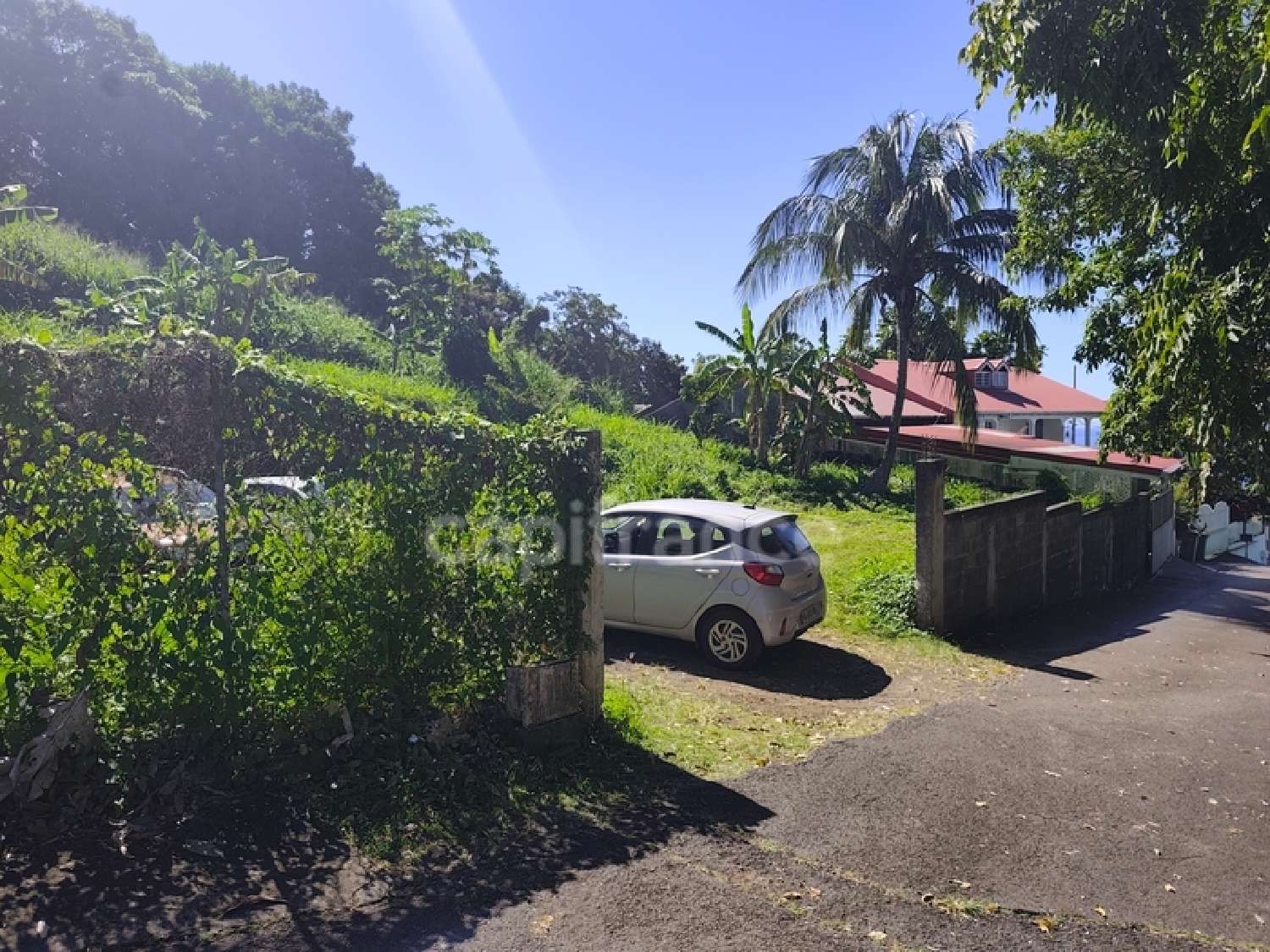  te koop terrein Gourbeyre Guadeloupe 3