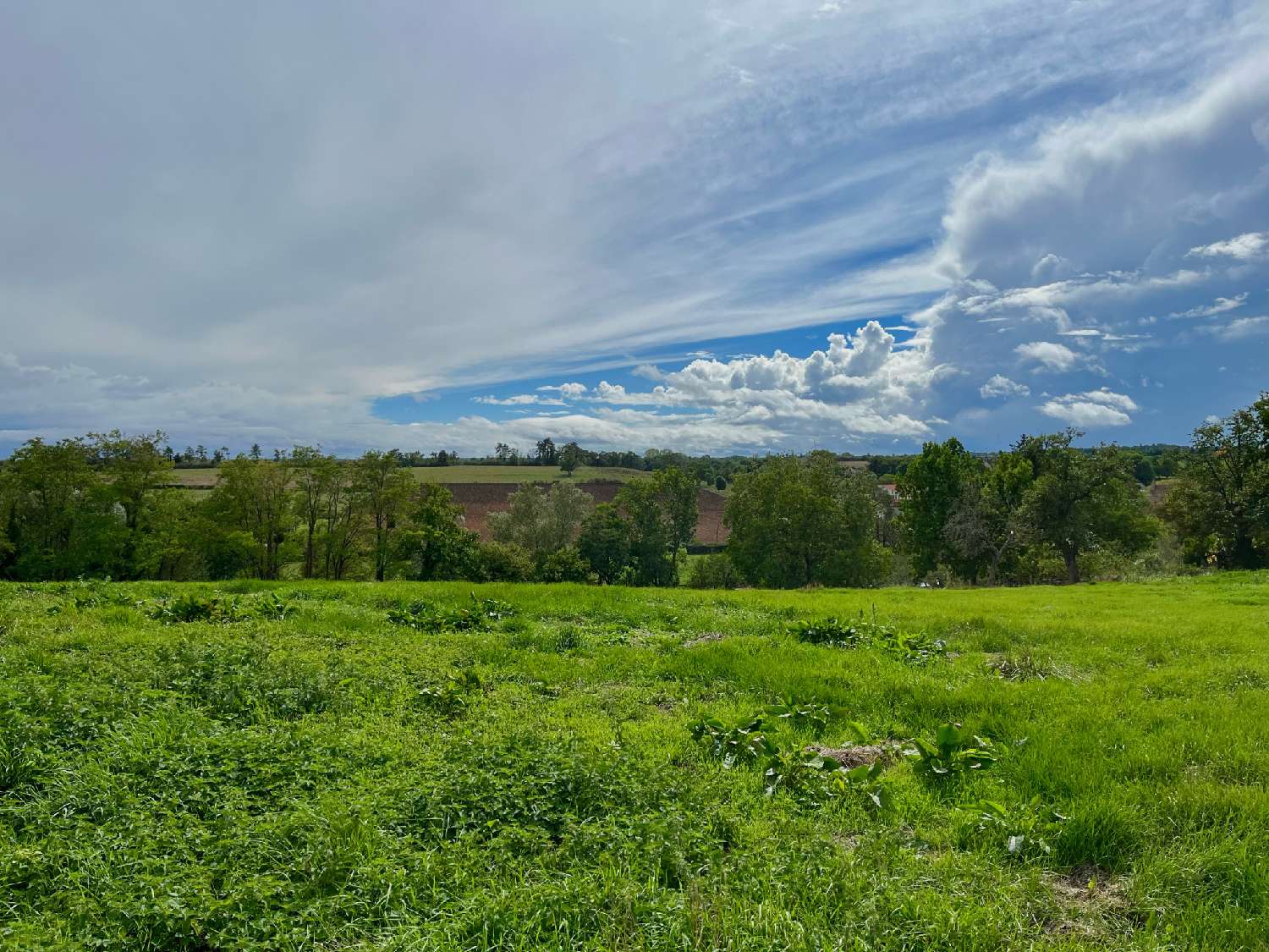  à vendre terrain Guillon Yonne 3