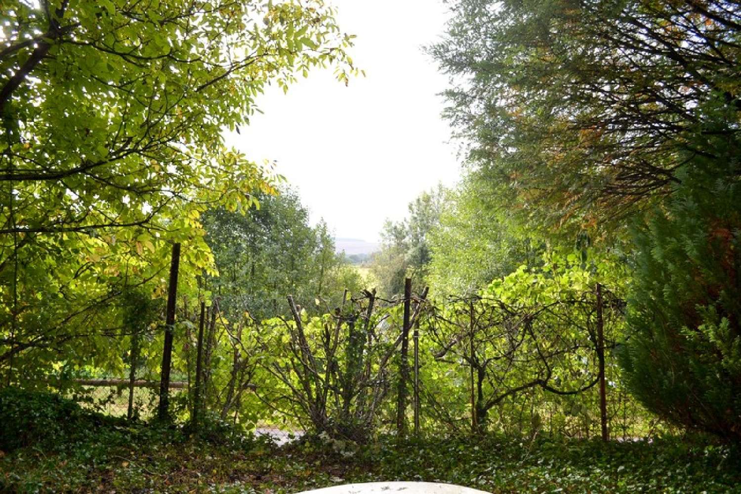  for sale terrain Haraumont Meuse 4