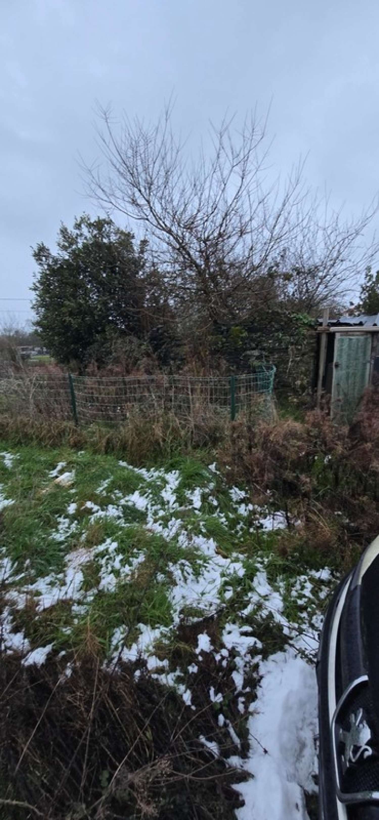  te koop terrein La Boissière-des-Landes Vendée 2