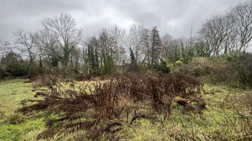 La Ferté-Alais Essonne terrein foto