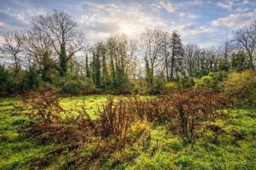 La Ferté-Alais Essonne terrain foto 7241051