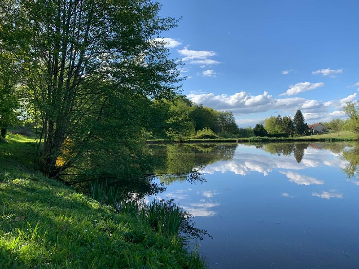  te koop terrein Lanouaille Dordogne 1