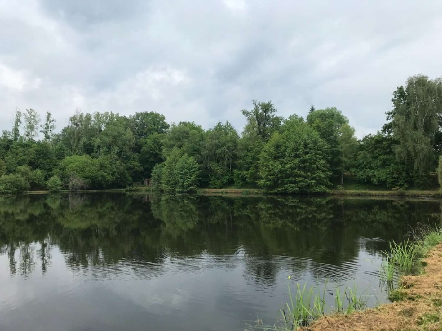  te koop terrein Lanouaille Dordogne 3