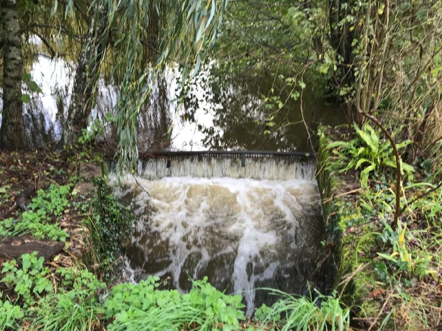  te koop terrein Lanouaille Dordogne 7