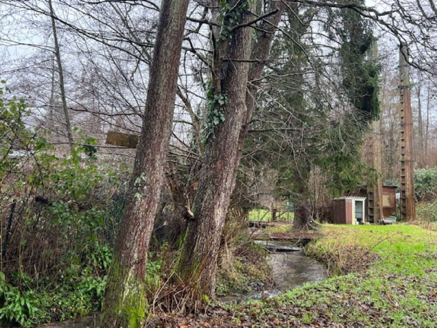 for sale terrain Le Breuil-en-Auge Calvados 2