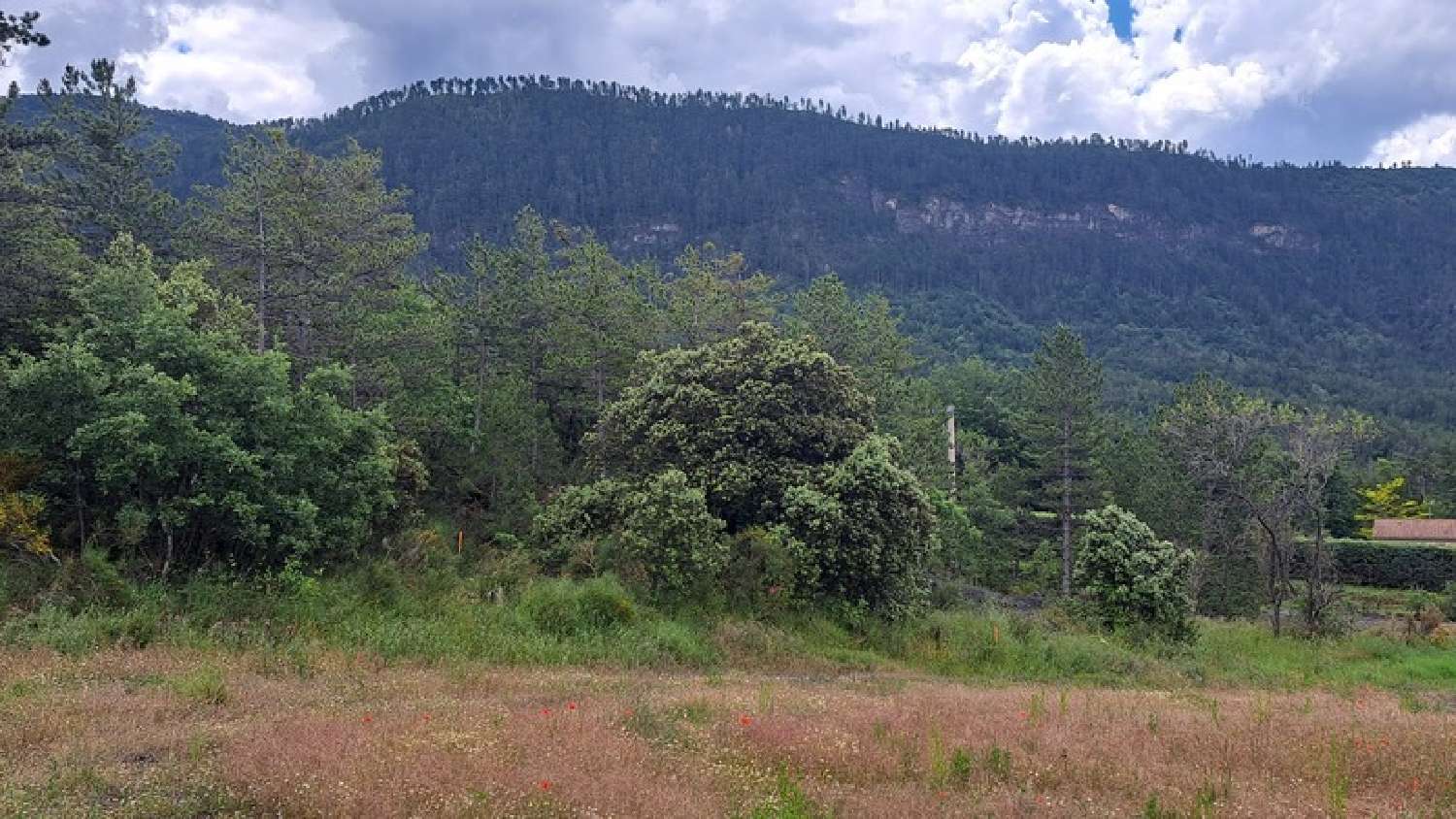  te koop terrein Le Brusquet Alpes-de-Haute-Provence 5