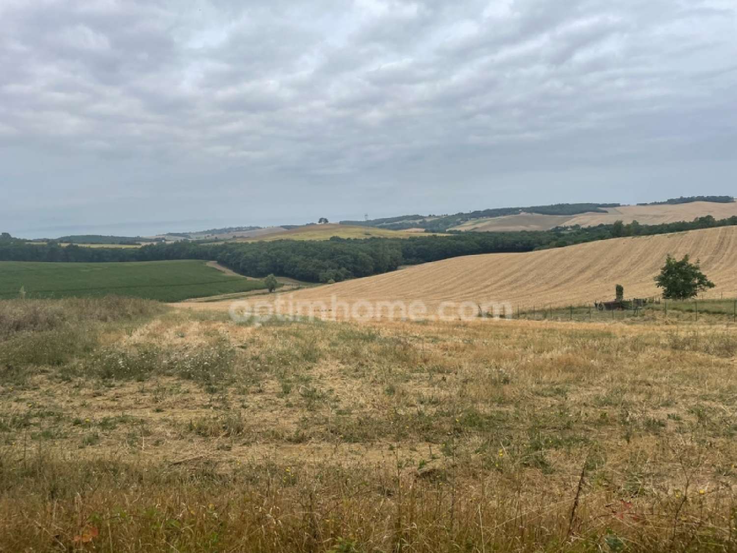  for sale terrain Le Castéra Haute-Garonne 2