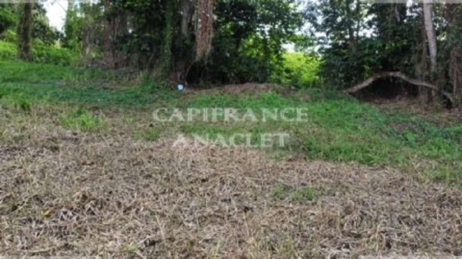  te koop terrein Le Lamentin Martinique 6