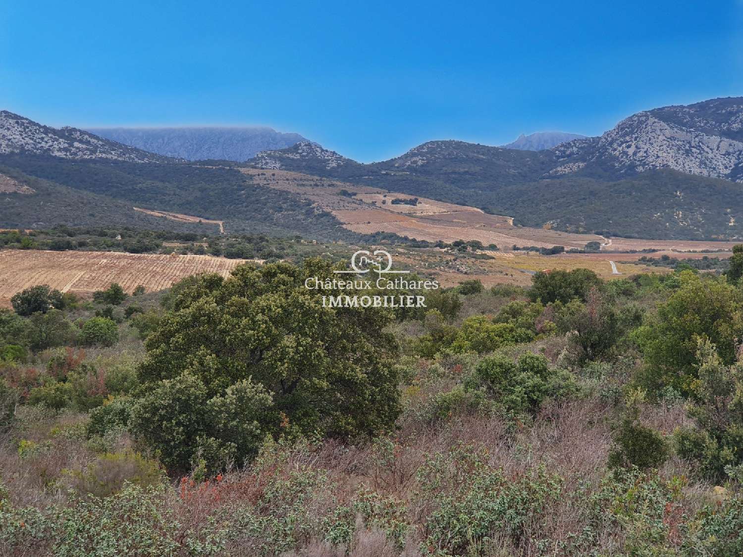  for sale terrain Lesquerde Pyrénées-Orientales 2