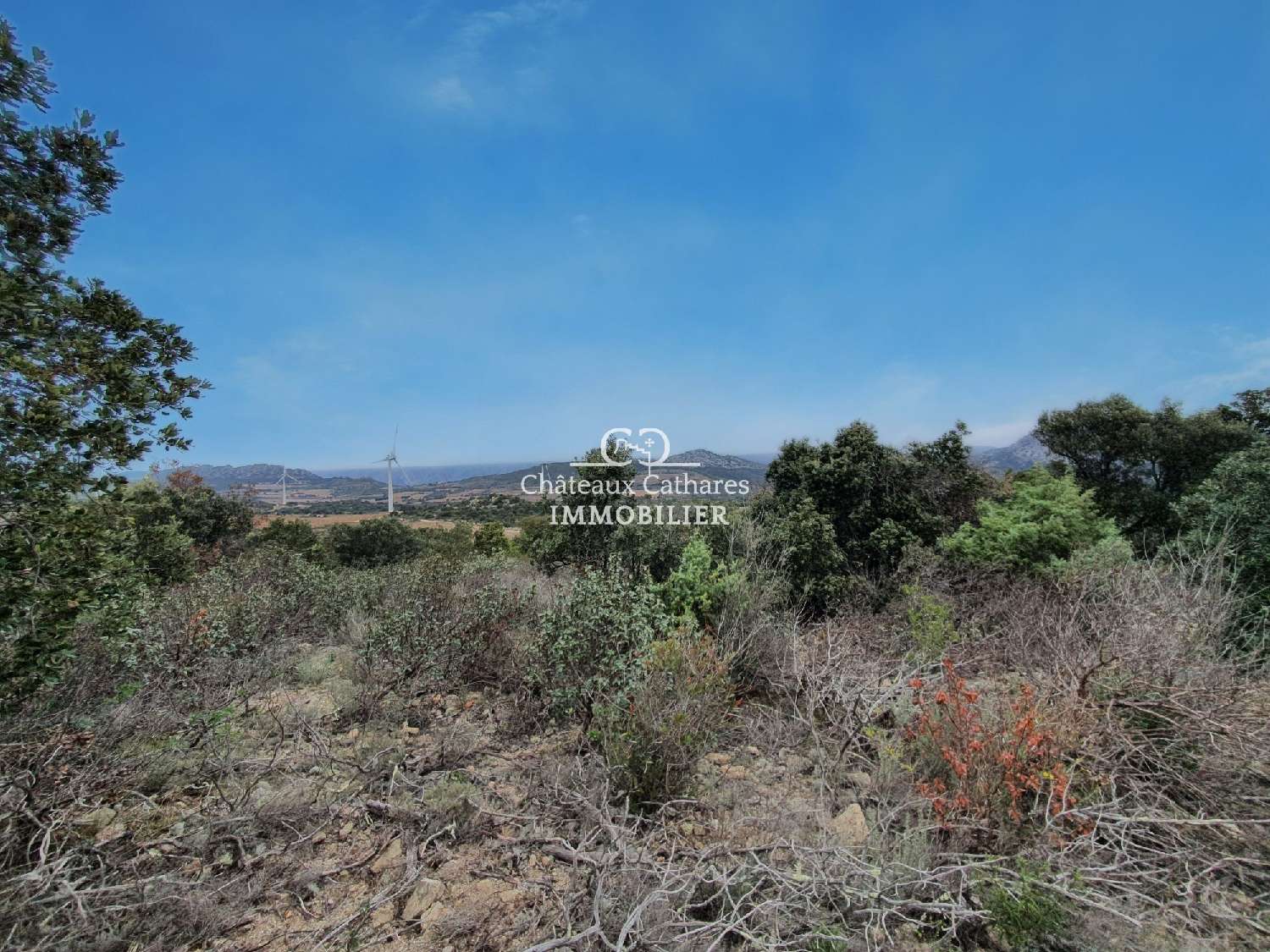  for sale terrain Lesquerde Pyrénées-Orientales 4