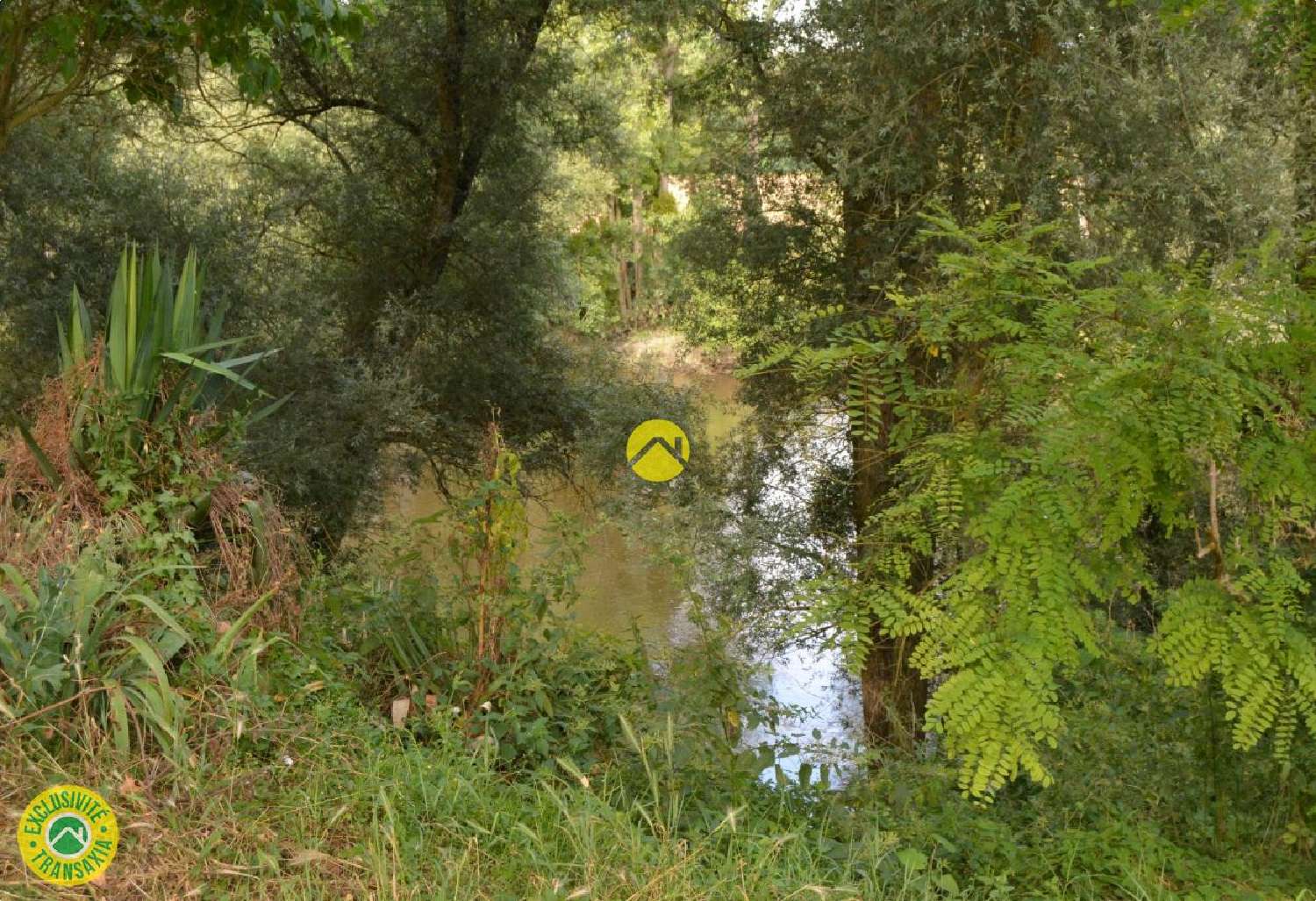  for sale terrain Lunery Cher 1