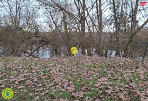 Lunery Cher Grundstück Bild 7248725