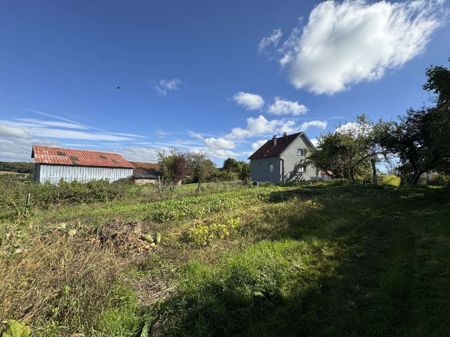  kaufen Grundstück Lure Haute-Saône 3