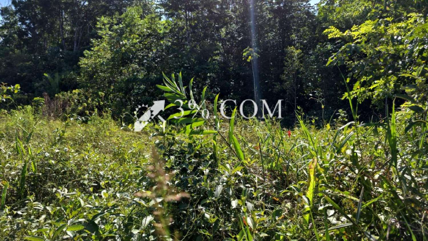  te koop terrein Maripasoula Guyane 1