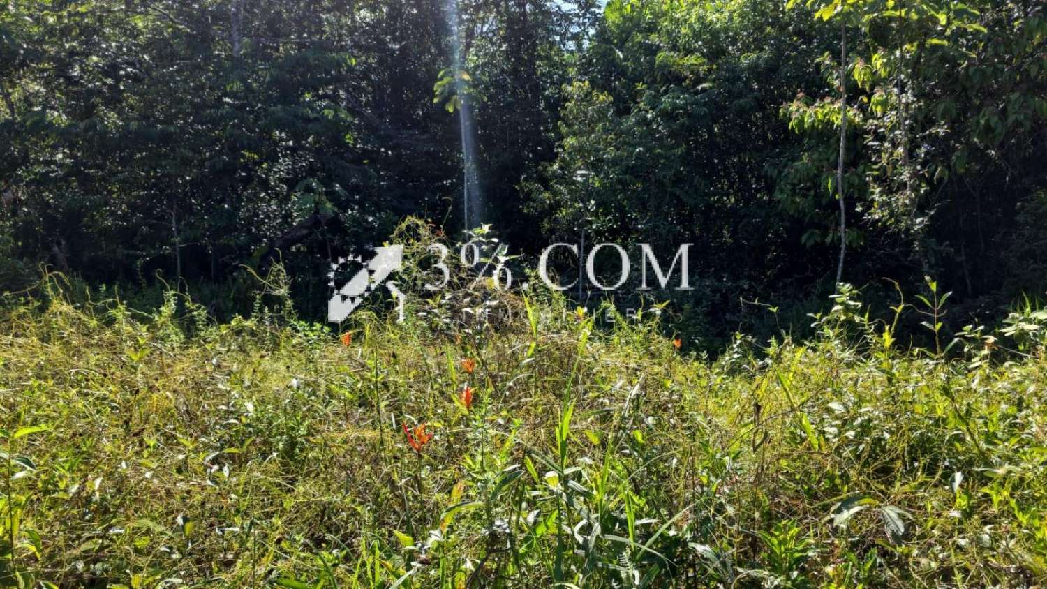  te koop terrein Maripasoula Guyane 3