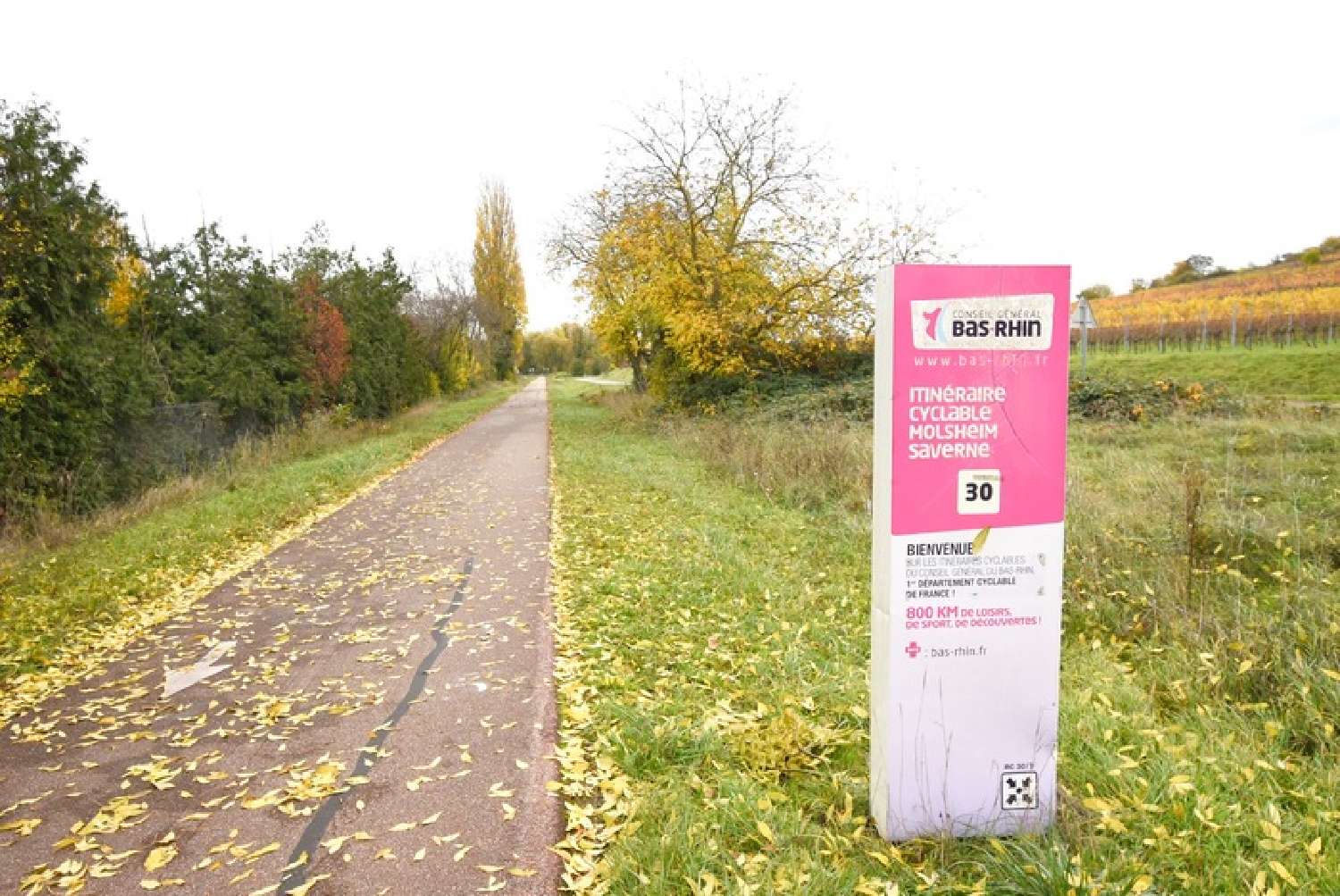  kaufen Grundstück Marlenheim Bas-Rhin 7