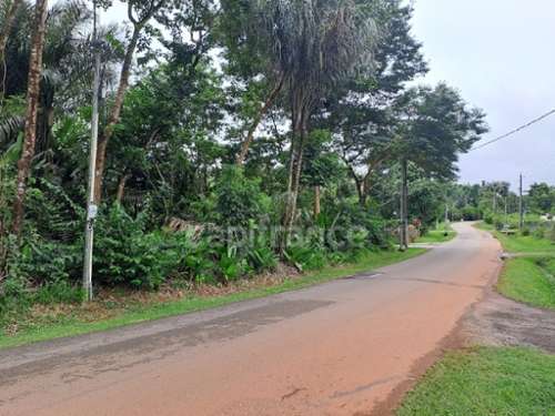 Matoury Guyane terrein foto 7242708