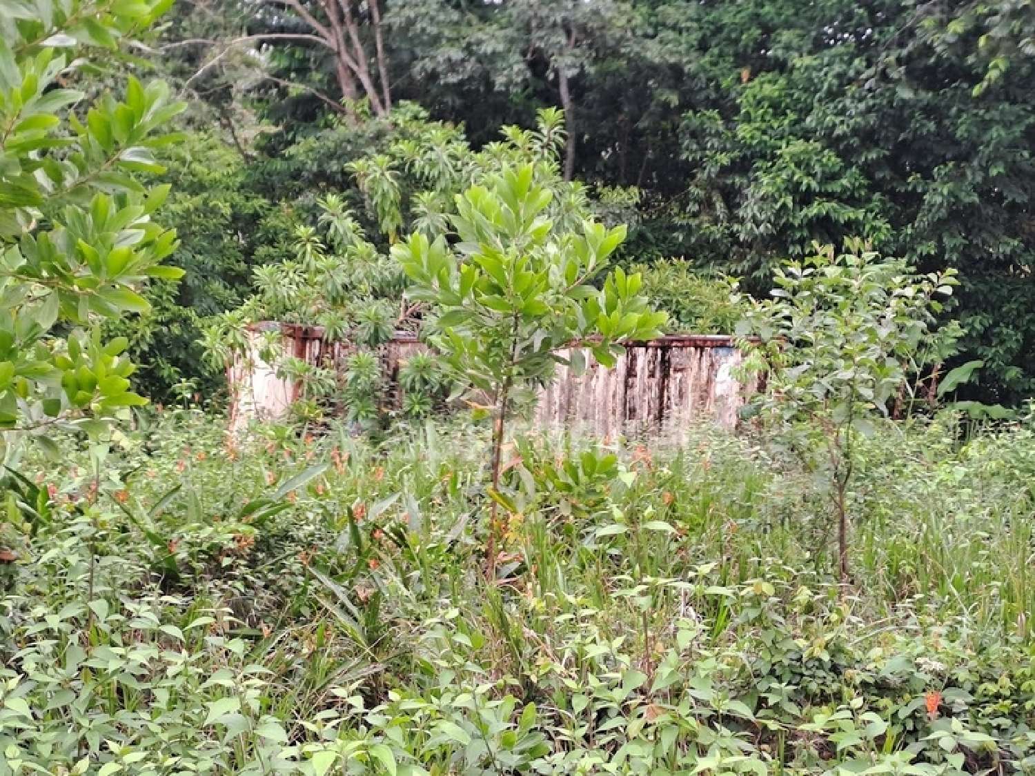  te koop terrein Matoury Guyane 4