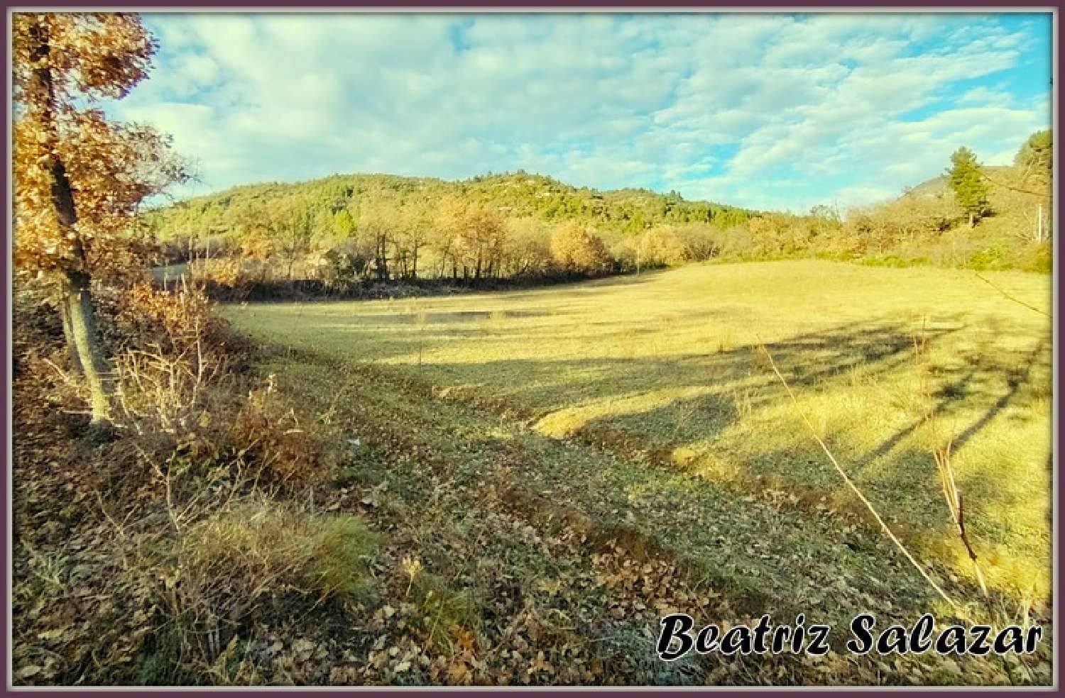  te koop terrein Mézel Alpes-de-Haute-Provence 1