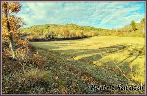 Mézel Alpes-de-Haute-Provence Grundstück Bild 7236662