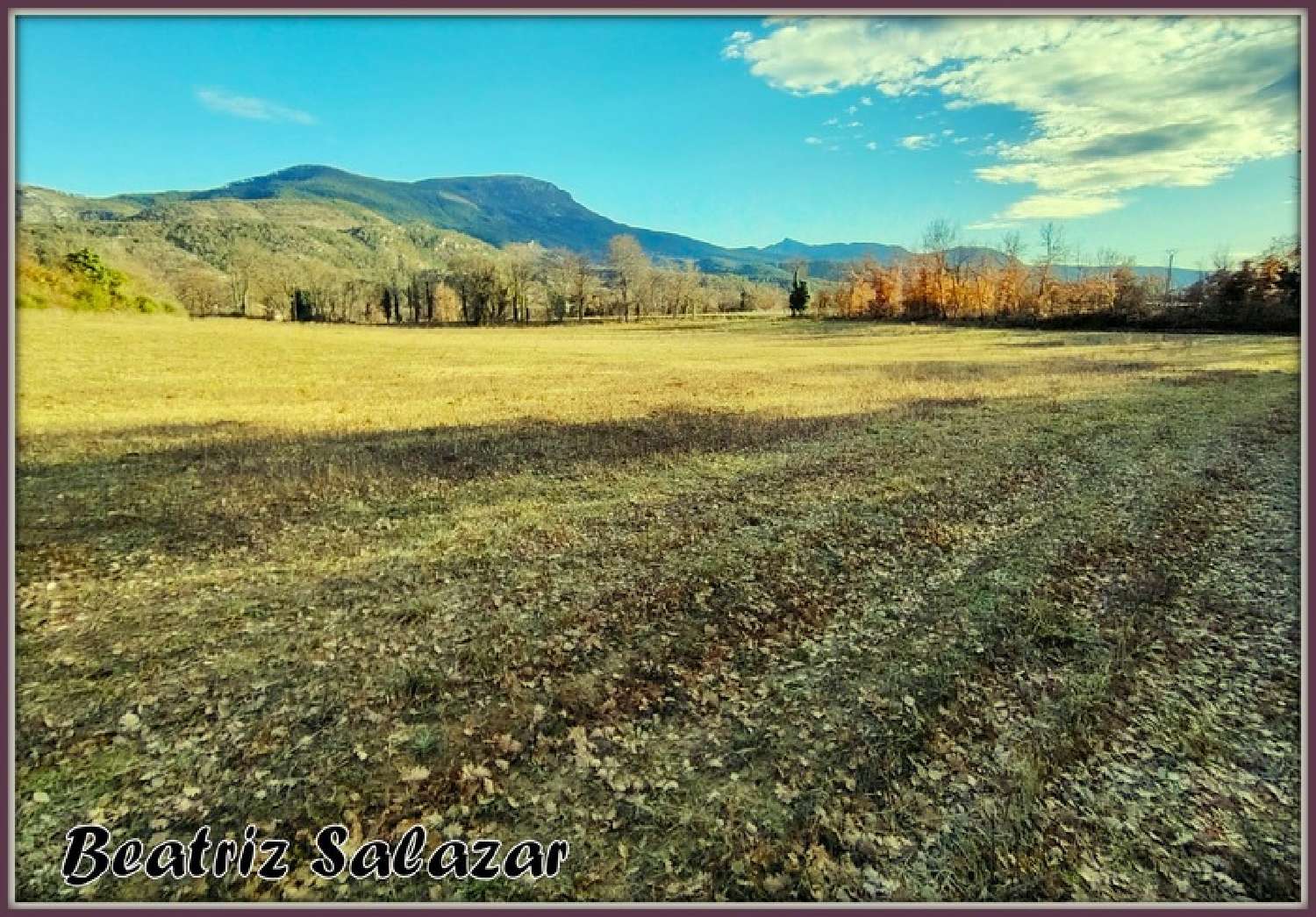  te koop terrein Mézel Alpes-de-Haute-Provence 2