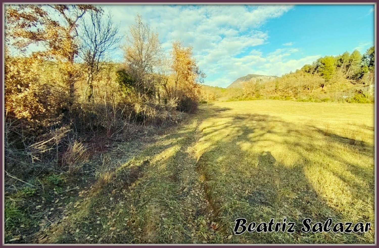  te koop terrein Mézel Alpes-de-Haute-Provence 3