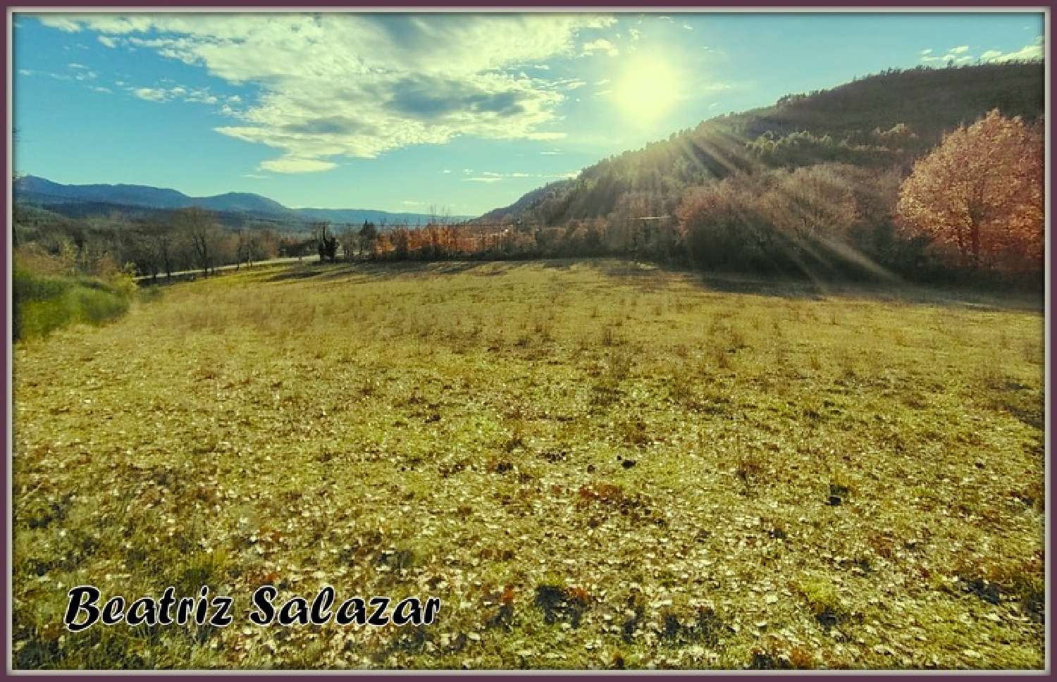  te koop terrein Mézel Alpes-de-Haute-Provence 4