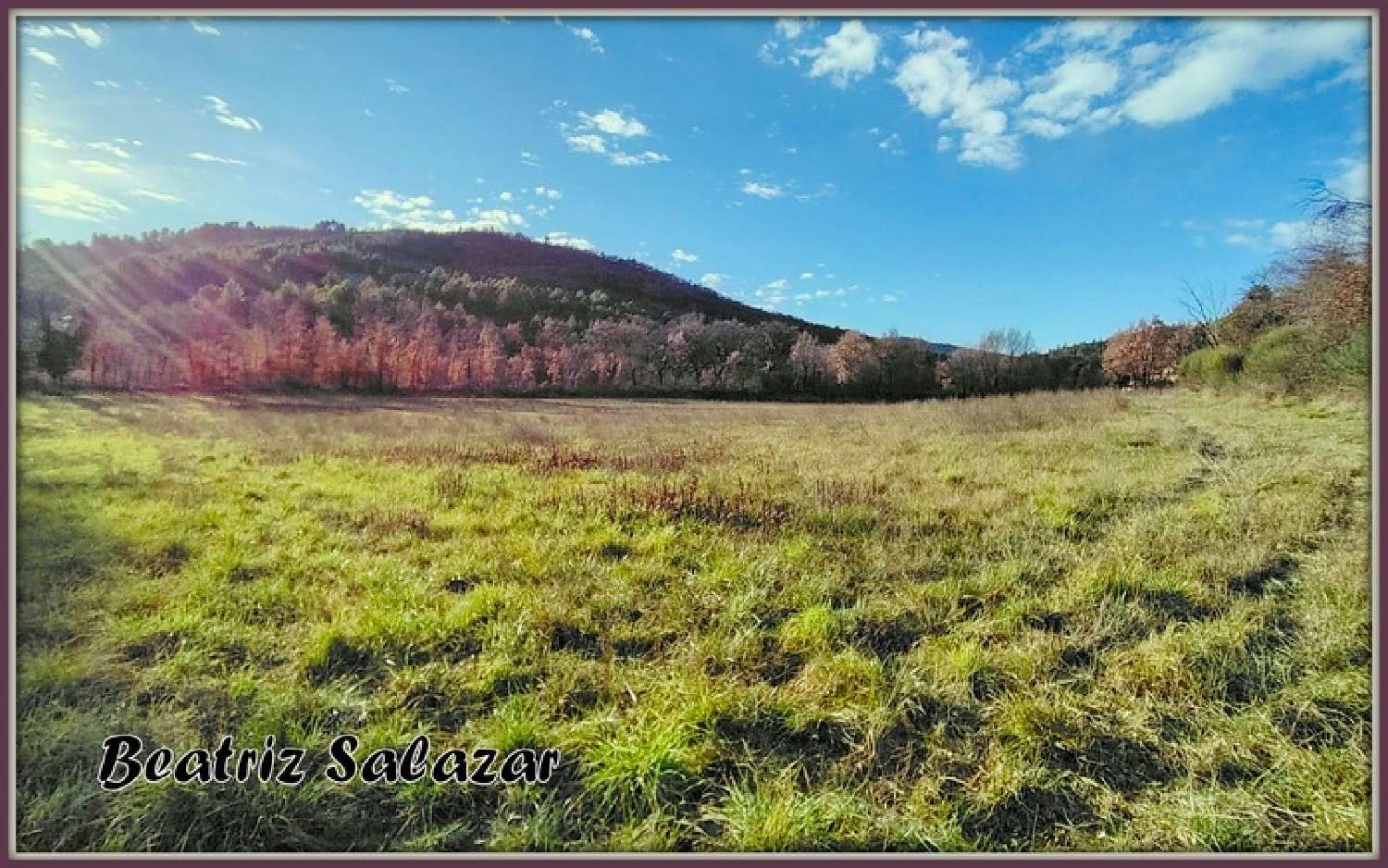  te koop terrein Mézel Alpes-de-Haute-Provence 5