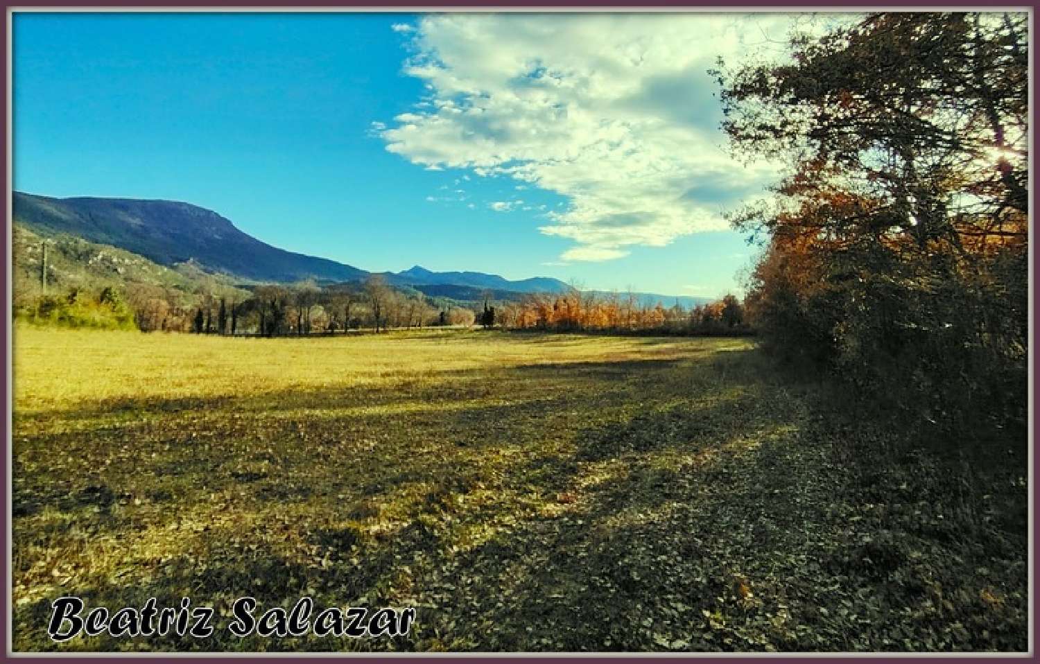  te koop terrein Mézel Alpes-de-Haute-Provence 7