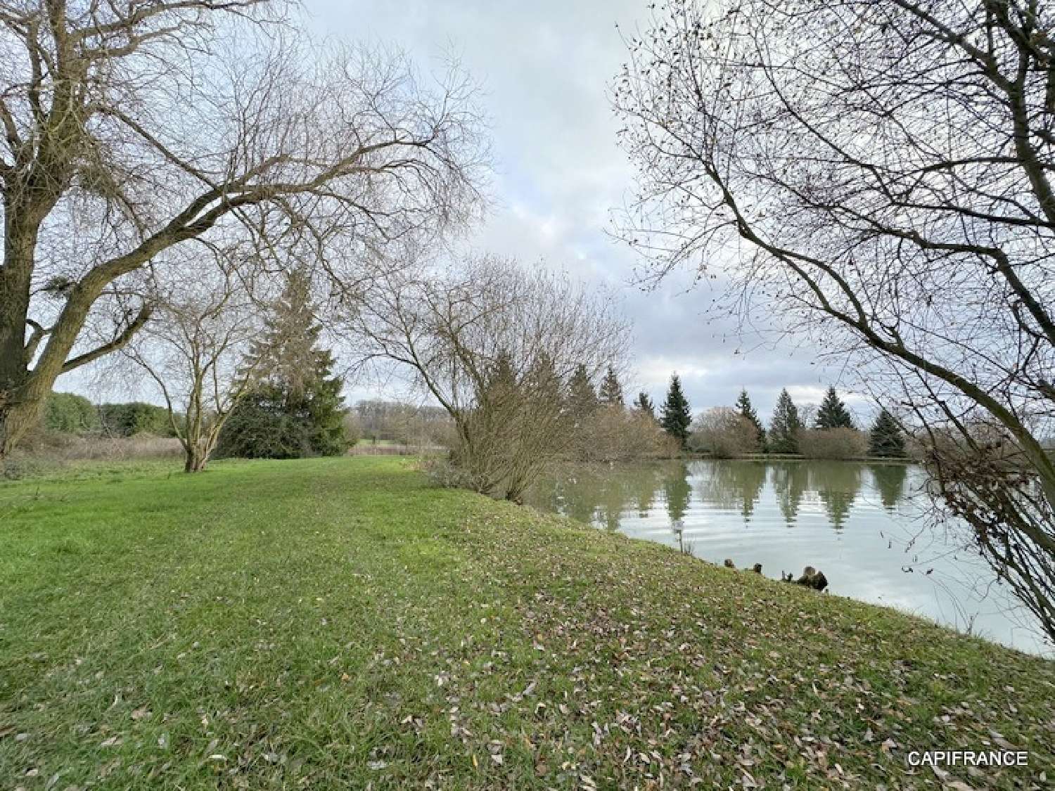 te koop terrein Montmirail Sarthe 2